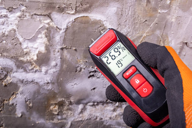 Best Attic Mold Removal  in Grand Rapids, MI